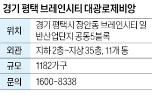 평택 브레인시티 대광로제비앙, 경기 최대 산단 브레인시티 중심에 1182가구