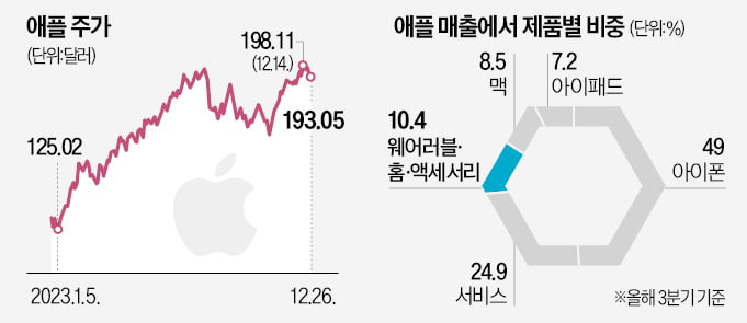 애플워치 美서 못판다…애플 실적 '먹구름'