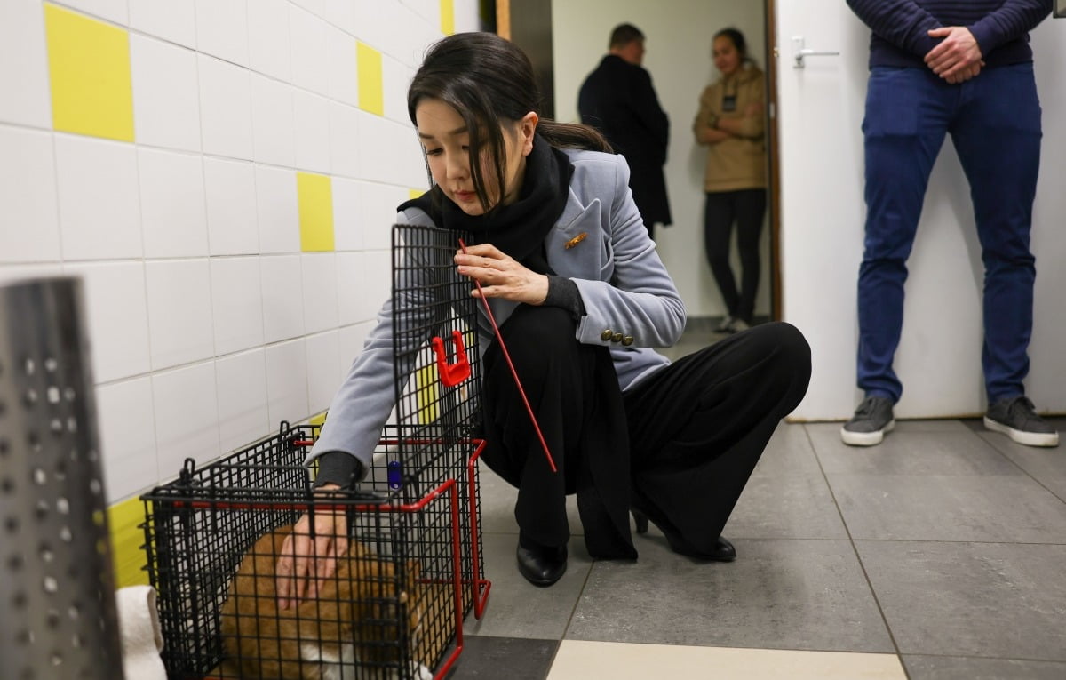 네덜란드를 국빈 방문한 윤석열 대통령의 부인 김건희 여사가 암스테르담 동물보호재단의 수술실에서 중성화 수술을 앞둔 고양이를 쓰다듬고 있다. 사진=대통령실