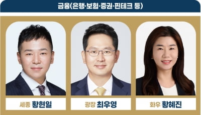 금융 최고의 로이어는 세종 황현일·광장 최우영·화우 황혜진[2023 베스트 로펌&로이어]