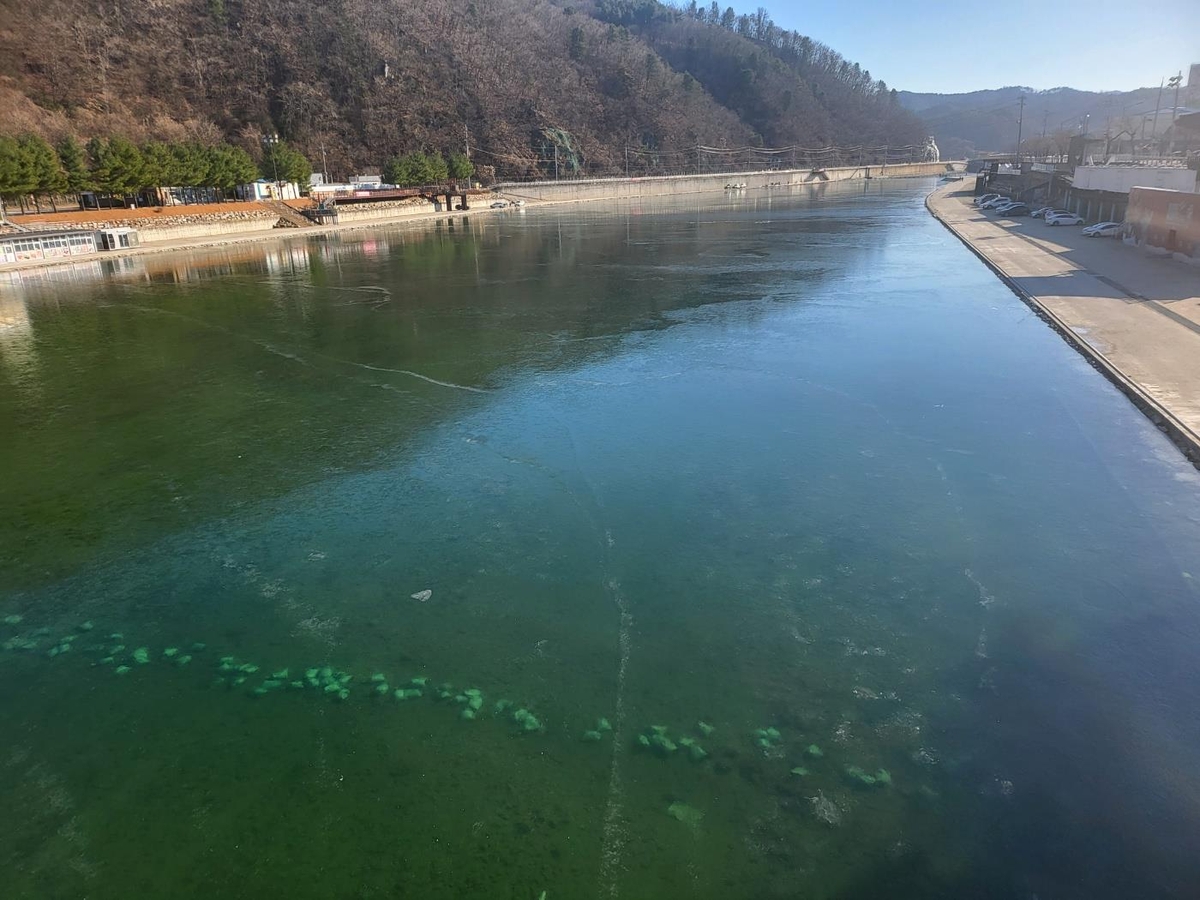 화천산천어축제 한 달 앞으로…축제장 결빙에 준비 본격화