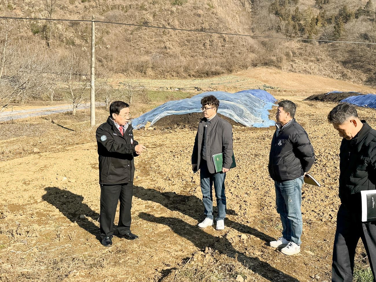 "비포장 퇴비 함부로 쌓아두지 마세요"…단양군 특별단속