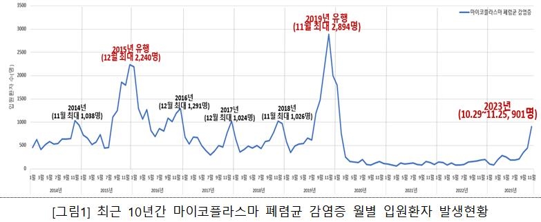 정부, 마이코플라스마 폐렴 진료지침 보급…"자연치유도 가능"(종합)