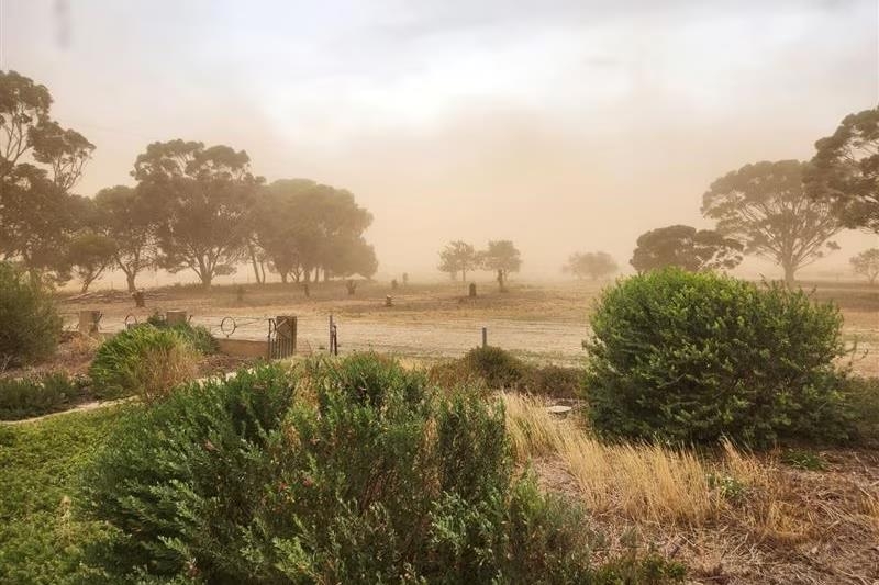 호주서 여름 기온 벌써 영상 40도 넘어…곳곳서 산불 발생