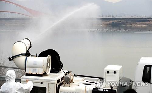 창원시 진전천 야생조류, 고병원성 조류인플루엔자 감염