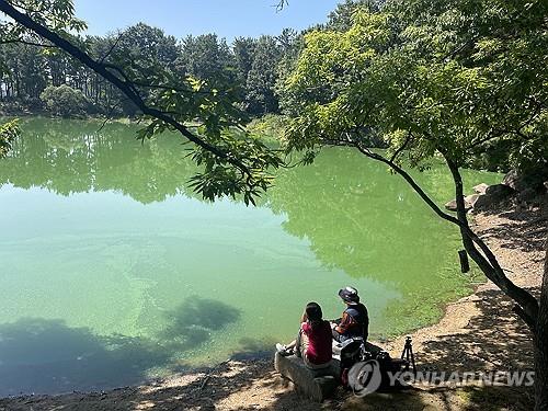 남부지방 '역대급 장마'에 낙동강 녹조 발생일 60% 줄어