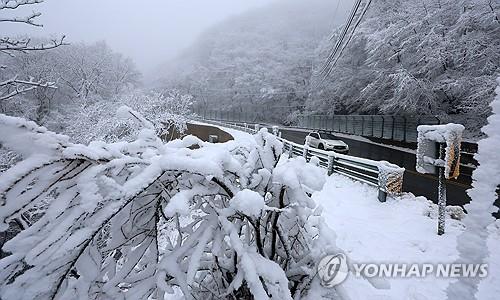 강원 북부산지에 대설경보·중부산지 대설주의보