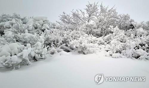 "이 엄동설한에…" 무주서 실종 80대, 이틀 만에 숨진 채 발견