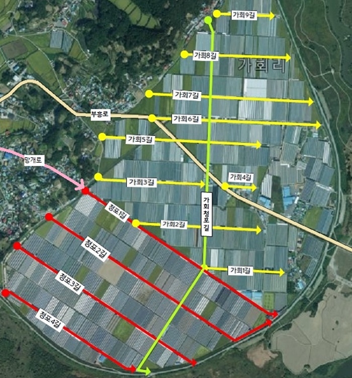 부여 비닐하우스 단지에 도로명주소 부여 "농산물 거래 등 용이"