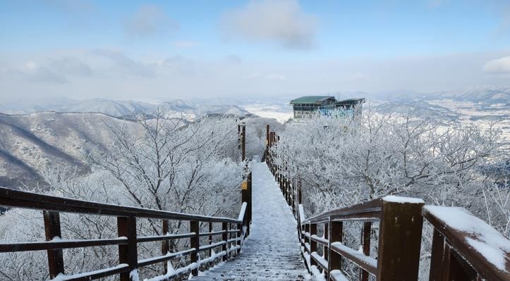 [픽! 해남] 두륜산 눈꽃 세상…순백의 겨울왕국 눈부시네