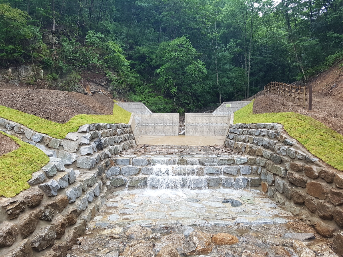 산림청, 산림사업 수의계약 실태 점검…부정비리 신고센터 운영