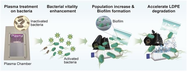 플라즈마로 미생물의 플라스틱 분해 효율 높인다