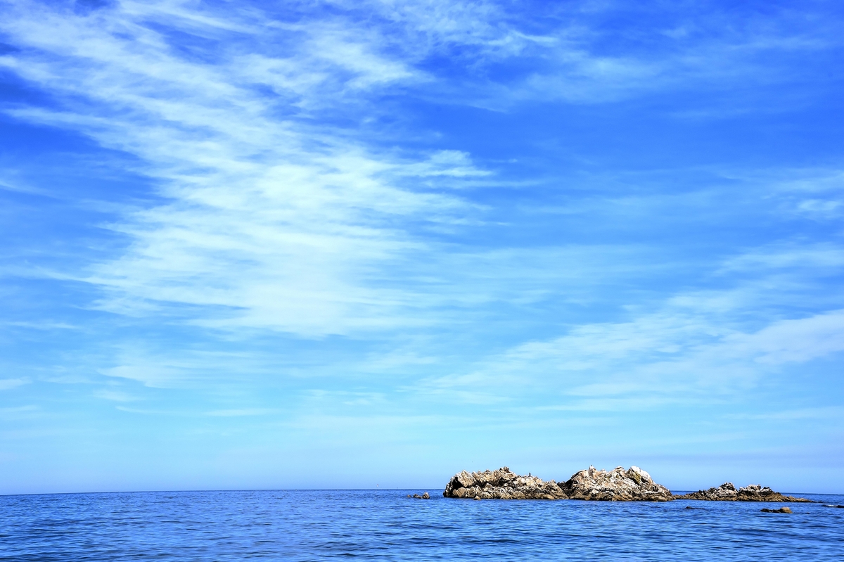 다가오는 '푸른 용'의 해…생명의 물 다스리고 권력·호국 상징