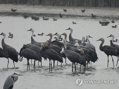 수달·저어새 사는 고성 마동호 '경남 대표 생태관광지' 지정