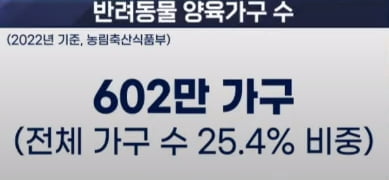 유모차보다 더 팔린 개모차, 반려동물산업 투심 이끌까 [신인규의 이슈레이더]