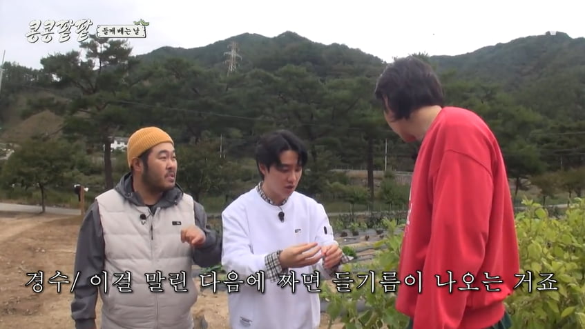Do Kyung-soo falls in love with the smell of perilla seeds from 'Kongkong Red Bean'