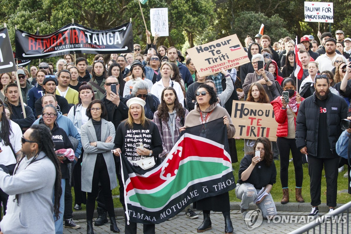 뉴질랜드 새정부 '반 마오리족 정책' 추진에 수천명 반대 시위