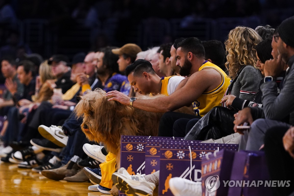 NBA 코트 좌석에 대형견이…알고 보니 연 수입 19억원 '부자견'