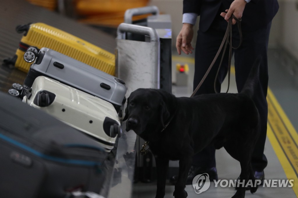 도마에 숨기고 옷 부자재인 척…날로 교묘해지는 마약 밀수