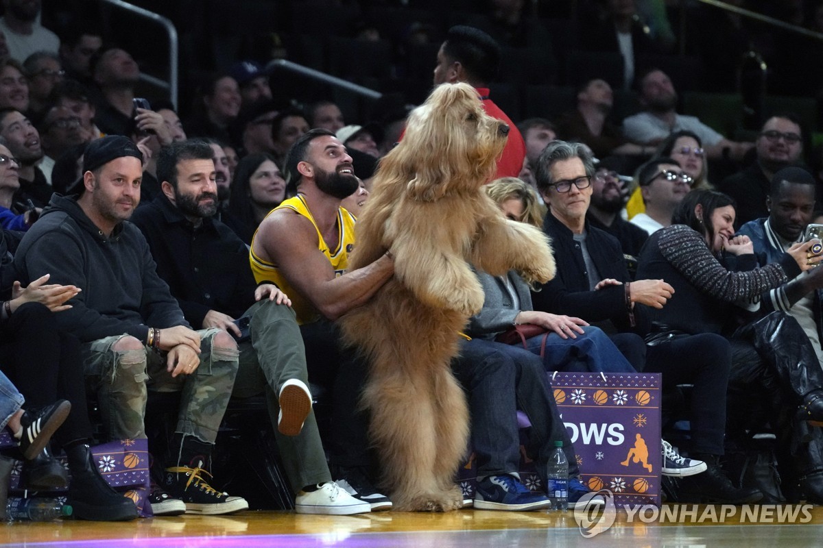 NBA 코트 좌석에 대형견이…알고 보니 연 수입 19억원 '부자견'