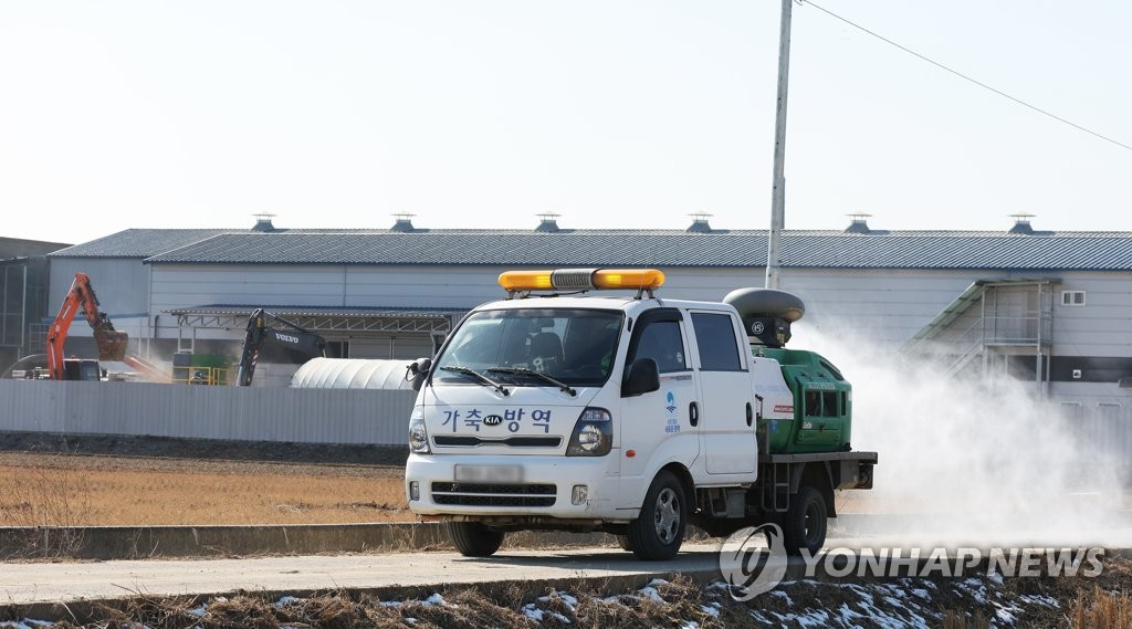 고병원성 AI 위기 단계 '심각'으로 격상…"엄중한 상황"