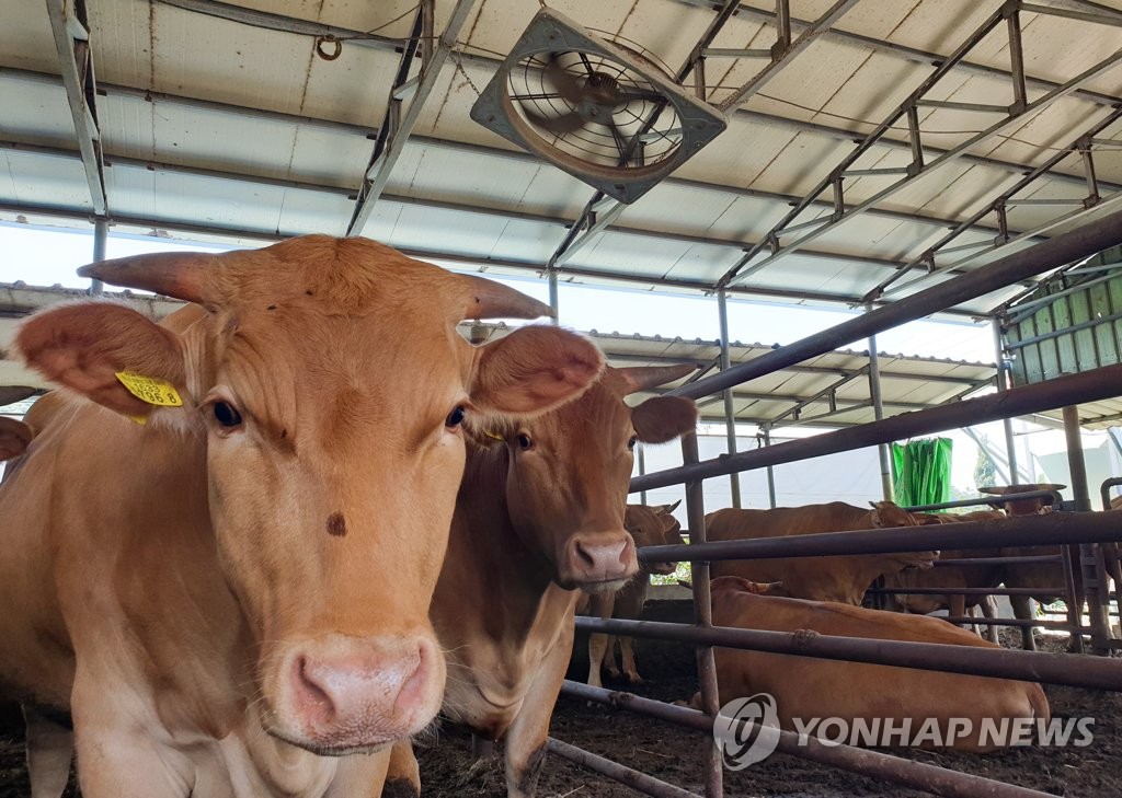 태안군, 내년 축산농가 보조사업 두 달 앞당겨 시작