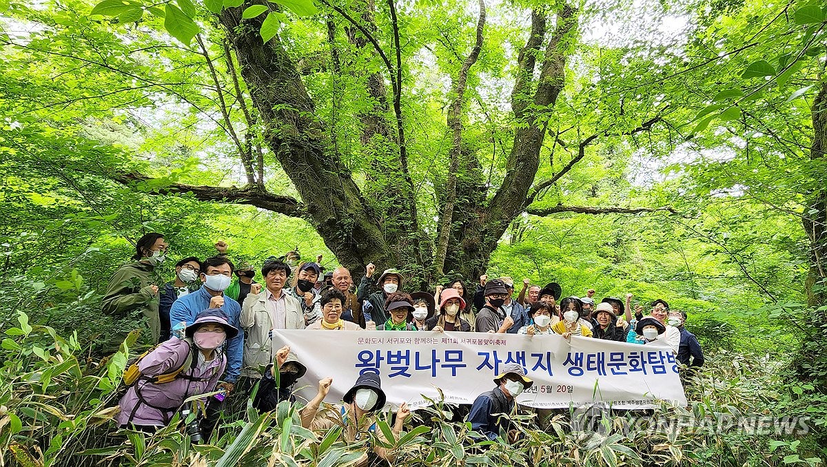 산림청, 올해 '국가 산림문화자산' 11개 신규 지정