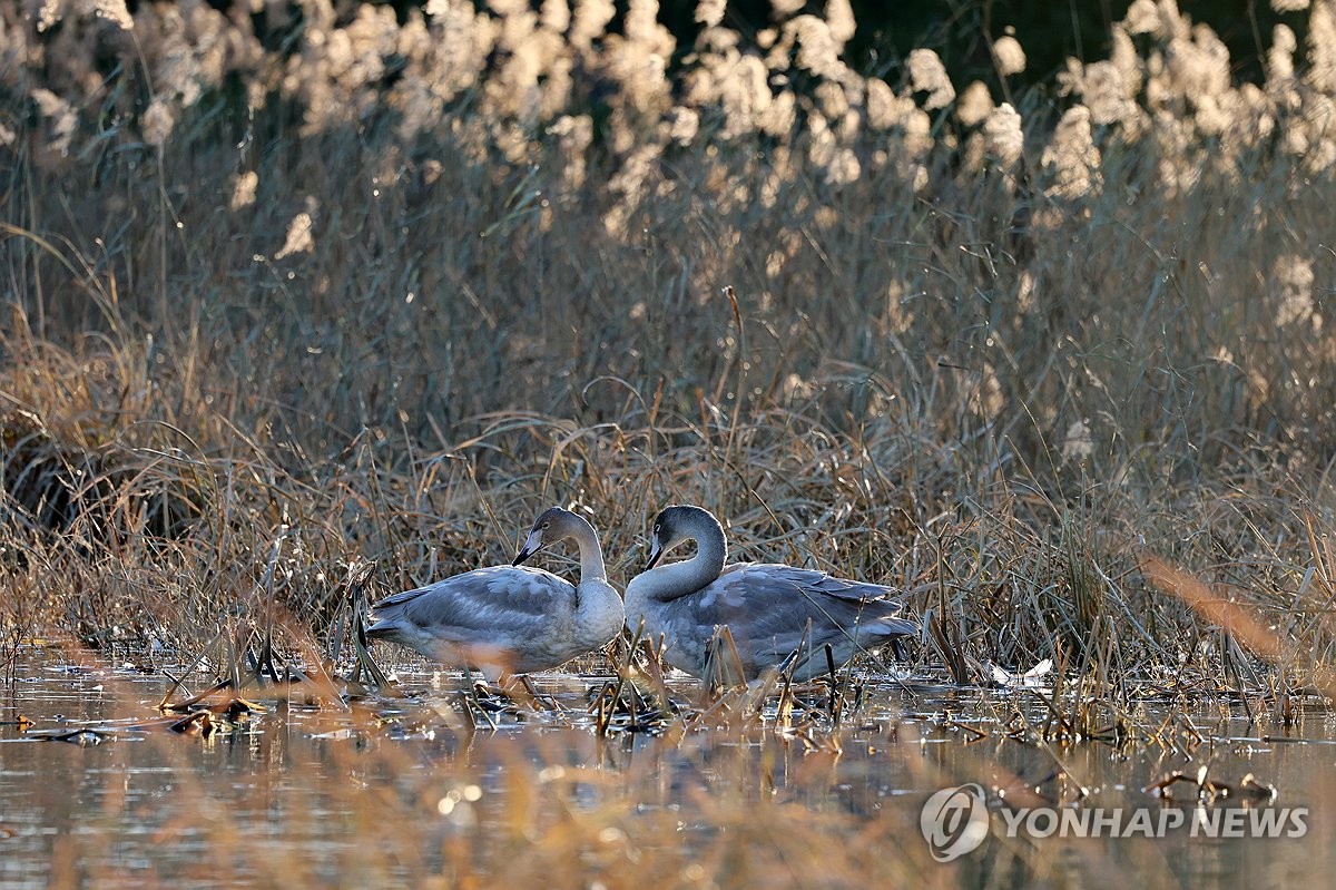 전북 대체로 흐림…낮 최고기온 18도