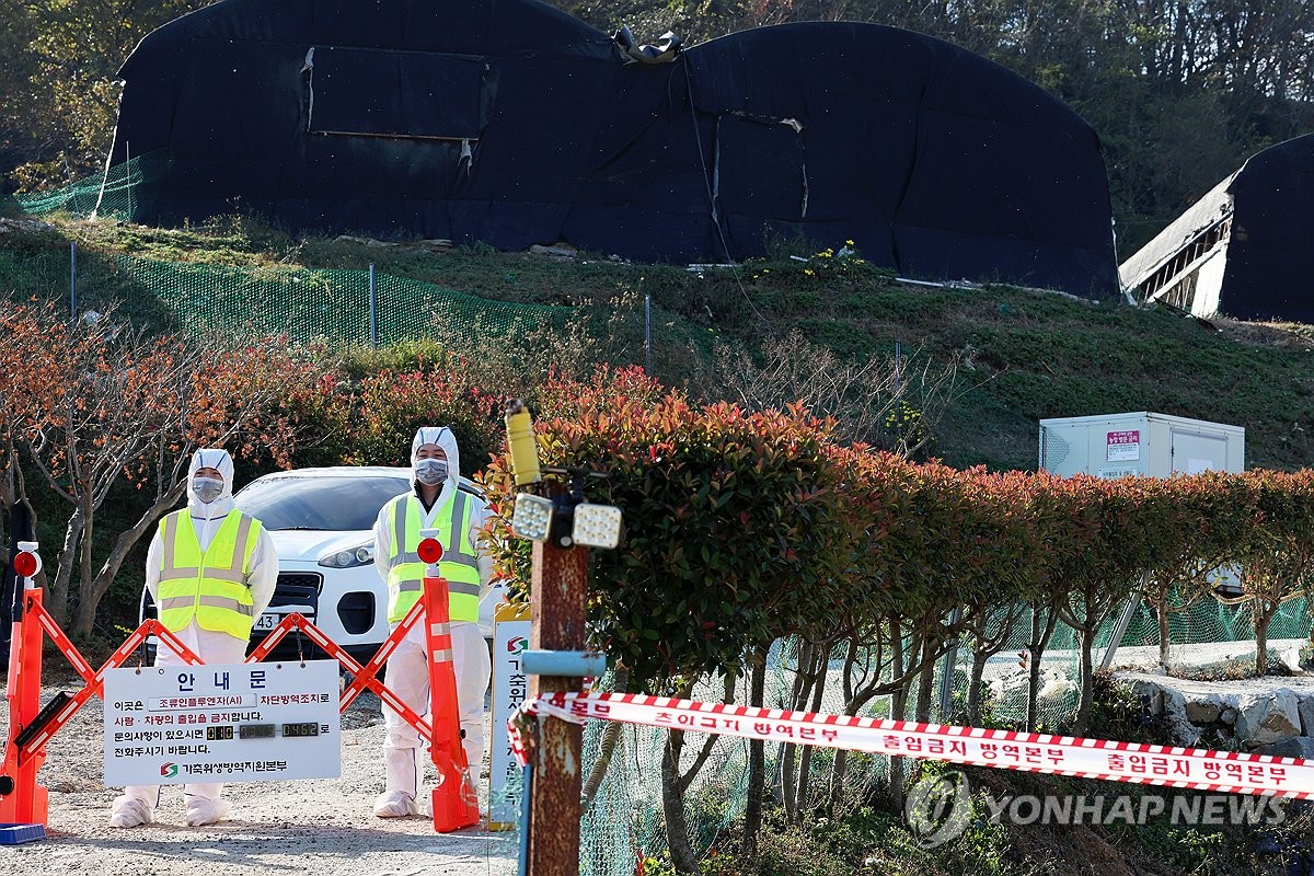 '잇따라 검출' 전남 조류인플루엔자 확산 우려…방역 강화(종합)