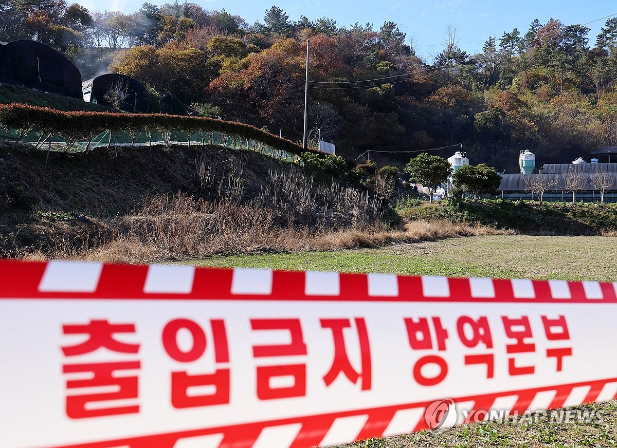 무안 오리농장서 AI 항원…고병원성 여부 검사 중