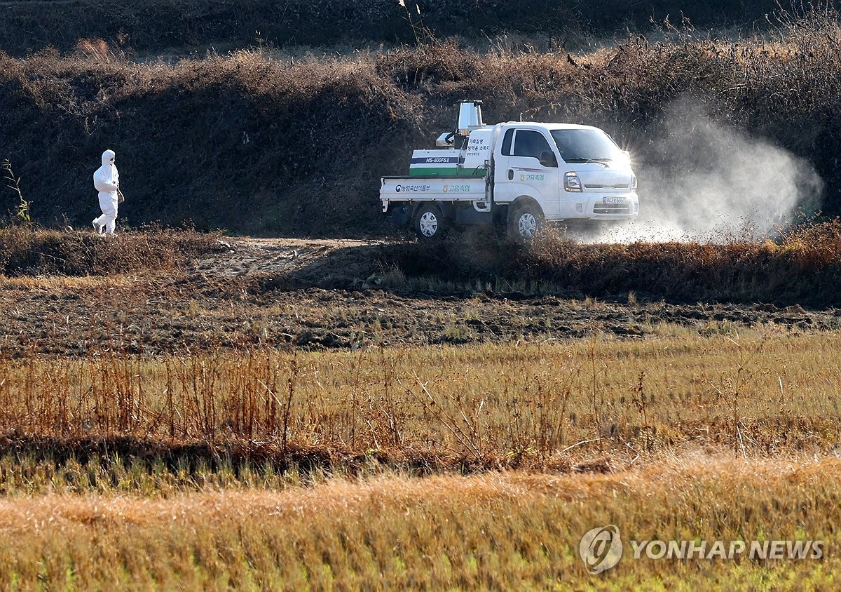 전남 영암 오리농장서 고병원성 AI…확진 총 24건으로 늘어