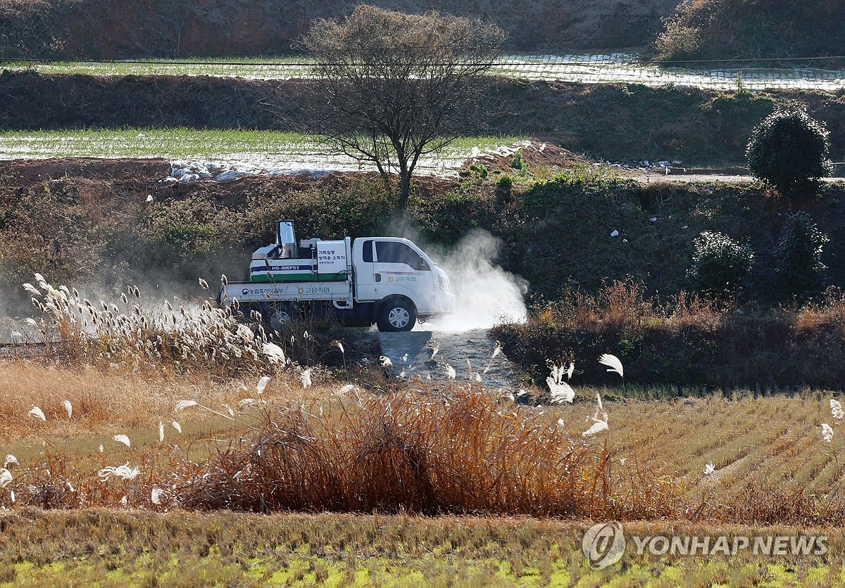 익산 종계농장 2곳서 고병원성 AI…확진 사례 4건으로 증가