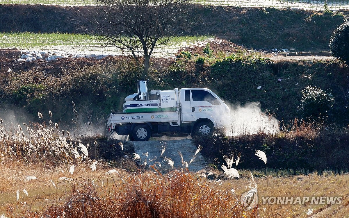 부안 오리농장 두곳서 고병원성 AI…확진 사례 20건으로 늘어