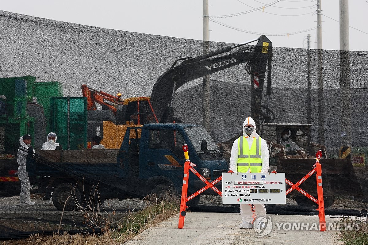 부안 오리농장 두 곳서 AI 항원…고병원성 조사 중