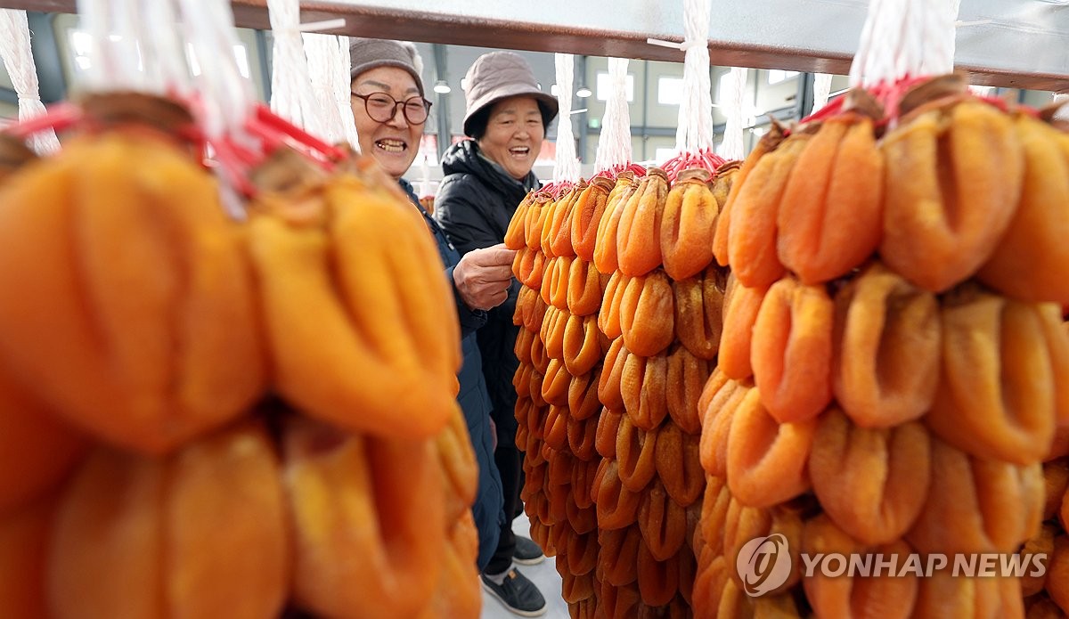 겨울 같지 않게 포근…오늘 낮 최고 15~20도