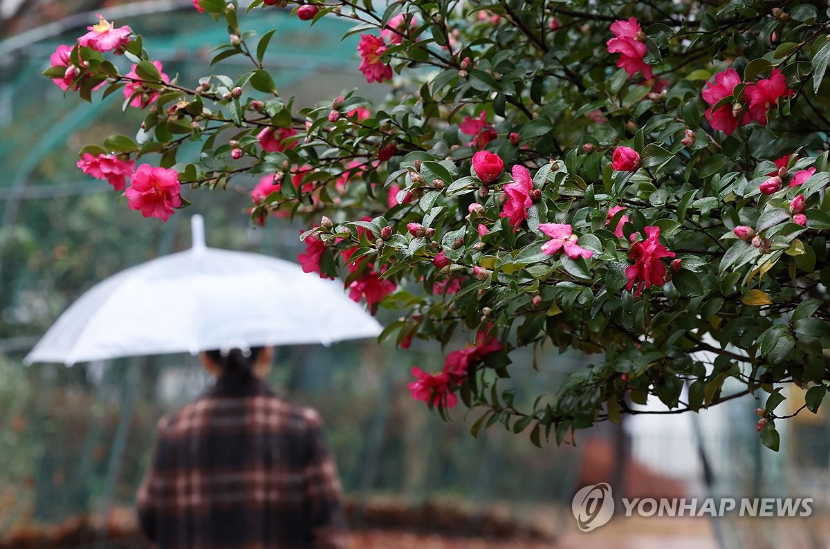 강원영동 눈·비 예상보다 많이 온다…호우-대설 특보 동시 발령