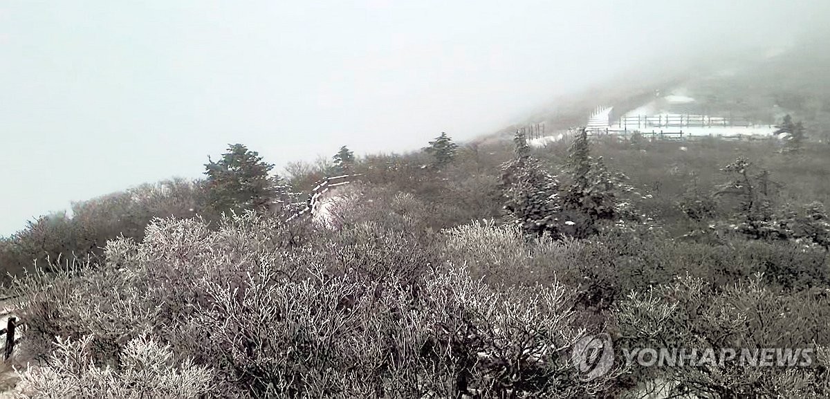 전국에 강한 바람…강원산지 많은 눈