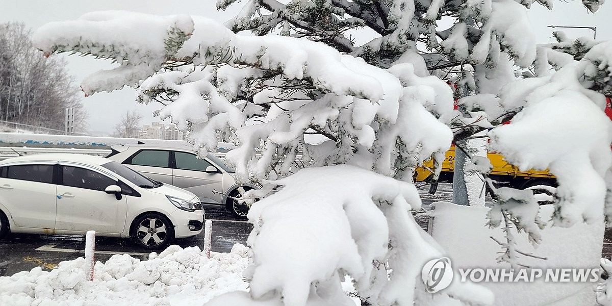 강원산지에 10㎝ 내외 눈 더 쌓여…내일 한파 찾아와