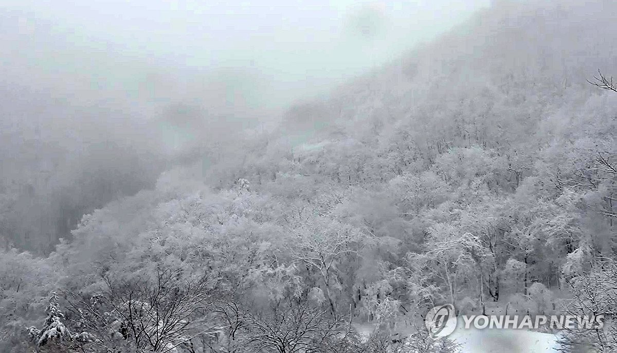 올겨울 들어 가장 추운 아침…강원 향로봉 영하 24.1(종합)