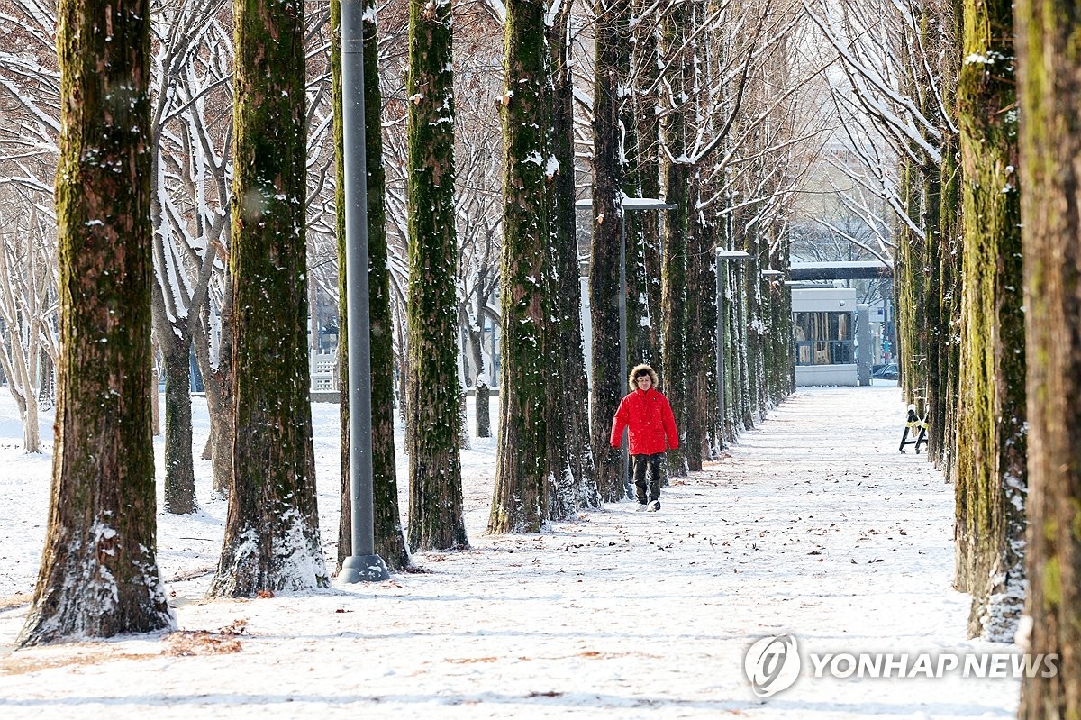 [내일날씨] 서해안·제주도에 많은 눈…최저 -11∼1도