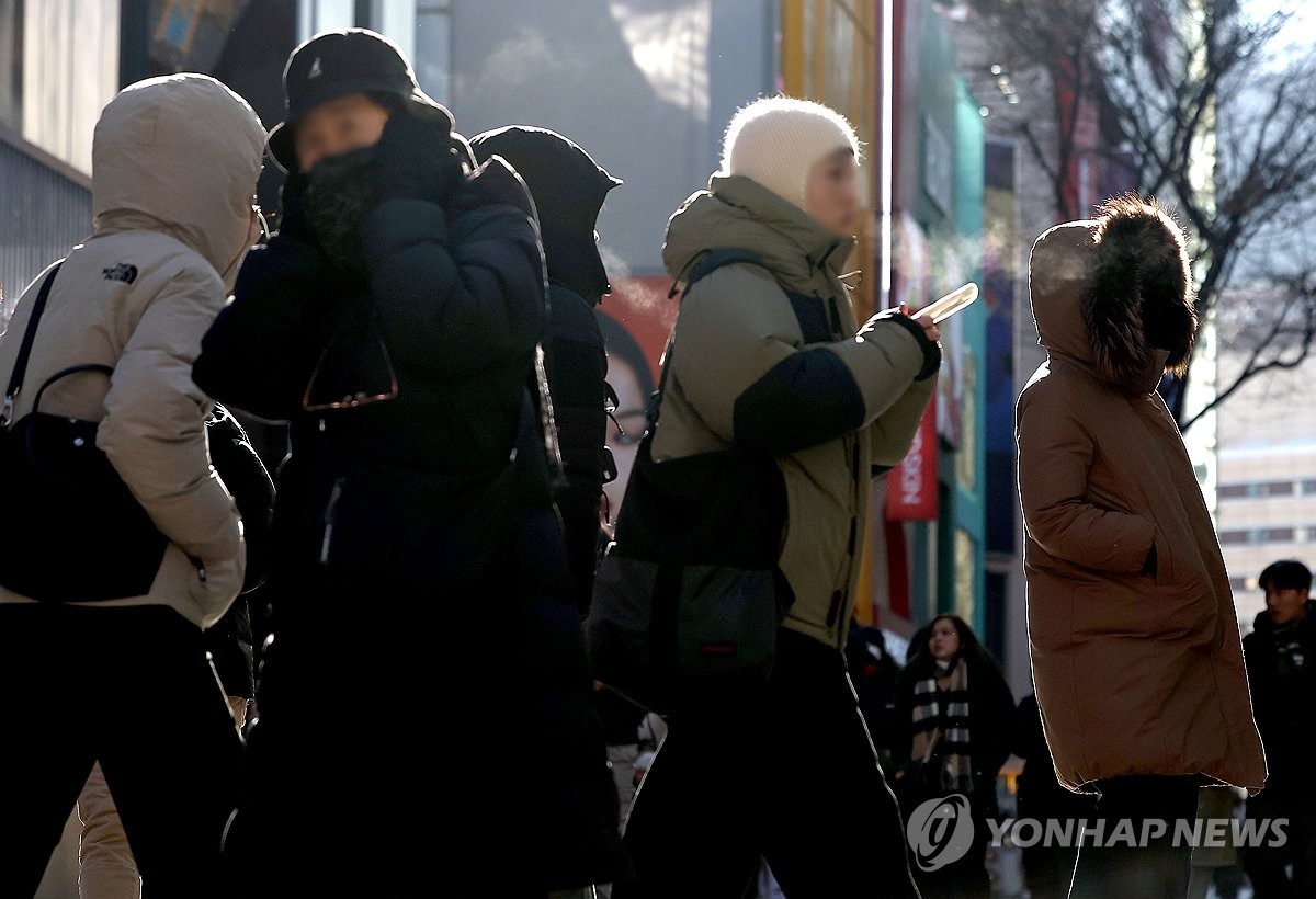 복지부, 대설·한파에 독거노인 등 취약계층 안전 점검