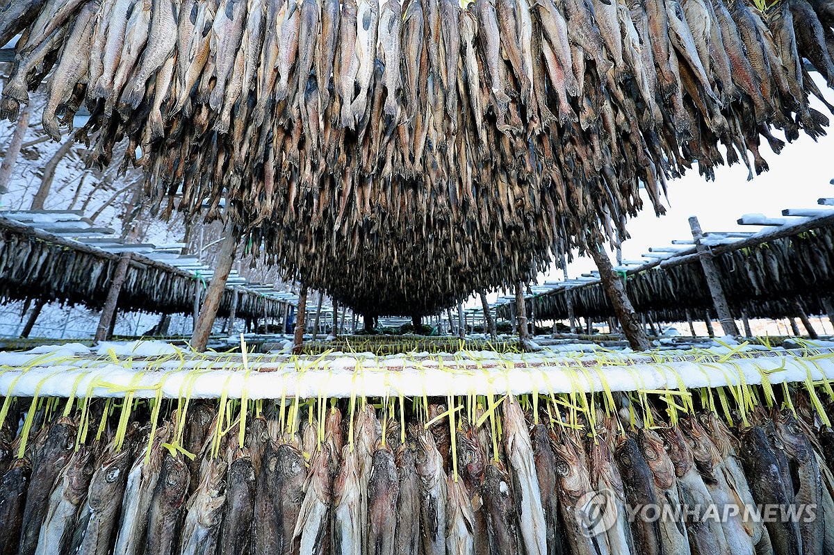 퇴근길 수도권 등 중부 곳곳 눈…낮 기온 오랜만에 '영상'