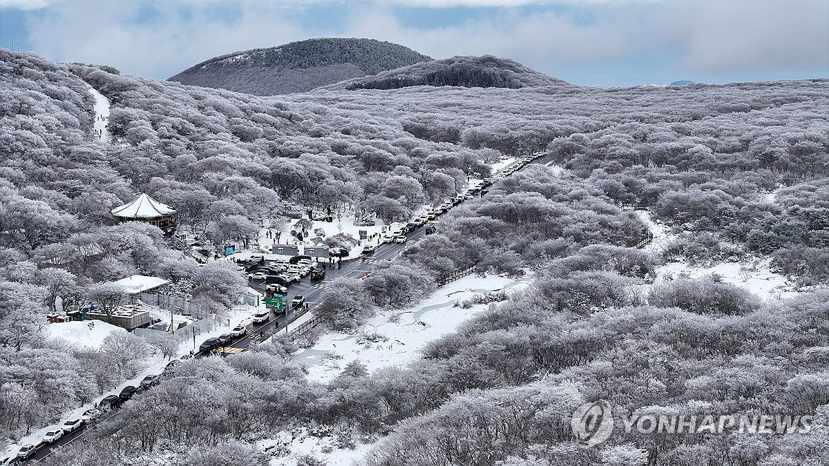 대설경보 한라산 삼각봉 42.6cm 폭설…1100도로 등 곳곳 통제