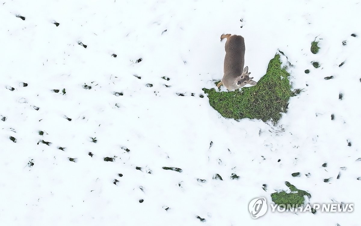 제주 가끔 비 또는 눈…산지 적설량 10㎝ 넘을 듯