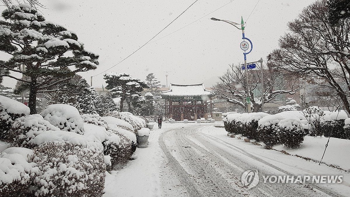 대전·세종·충남 흐리고 눈…태안 적설량 31.5㎝