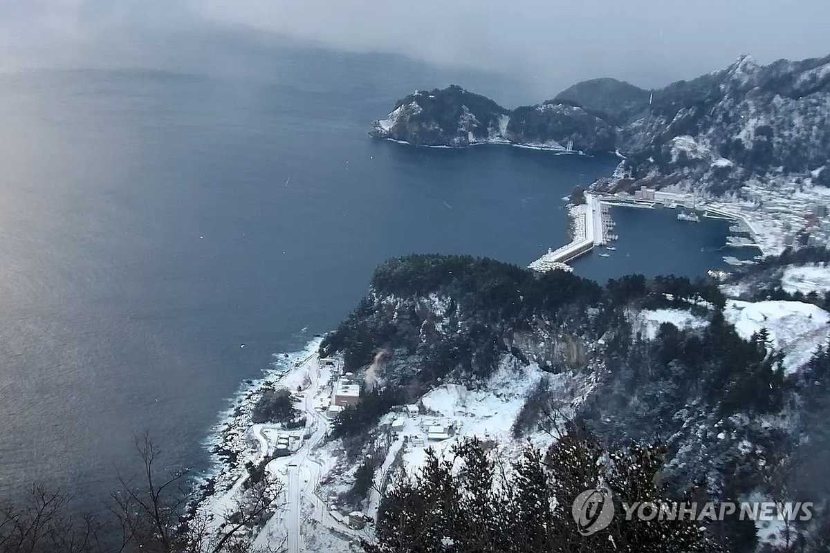 울릉도에 11.8㎝ 눈…장비·인력 동원해 제설