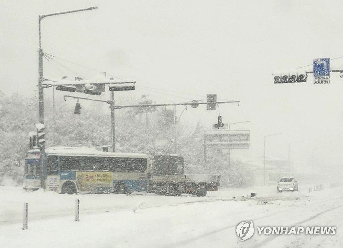 산림청, 대설·한파 관련 산림분야 피해 예방·응급복구 지원