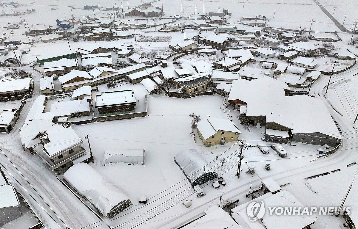 밤사이 눈에 광주·전남 최고 25.6㎝ 적설…잇단 낙상·차량사고