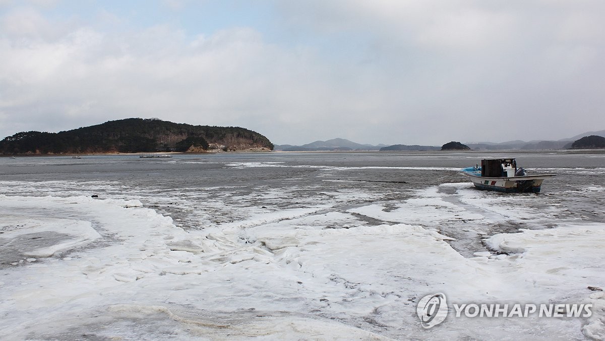 충남 서해 연안에 저수온 주의보…도, 현장대응반 꾸려