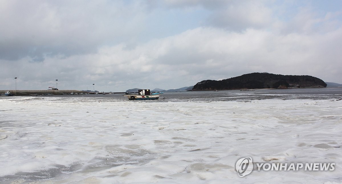 동장군 맹위에 서산 바다도 '10㎝ 꽁꽁'…감태 어민들 노심초사